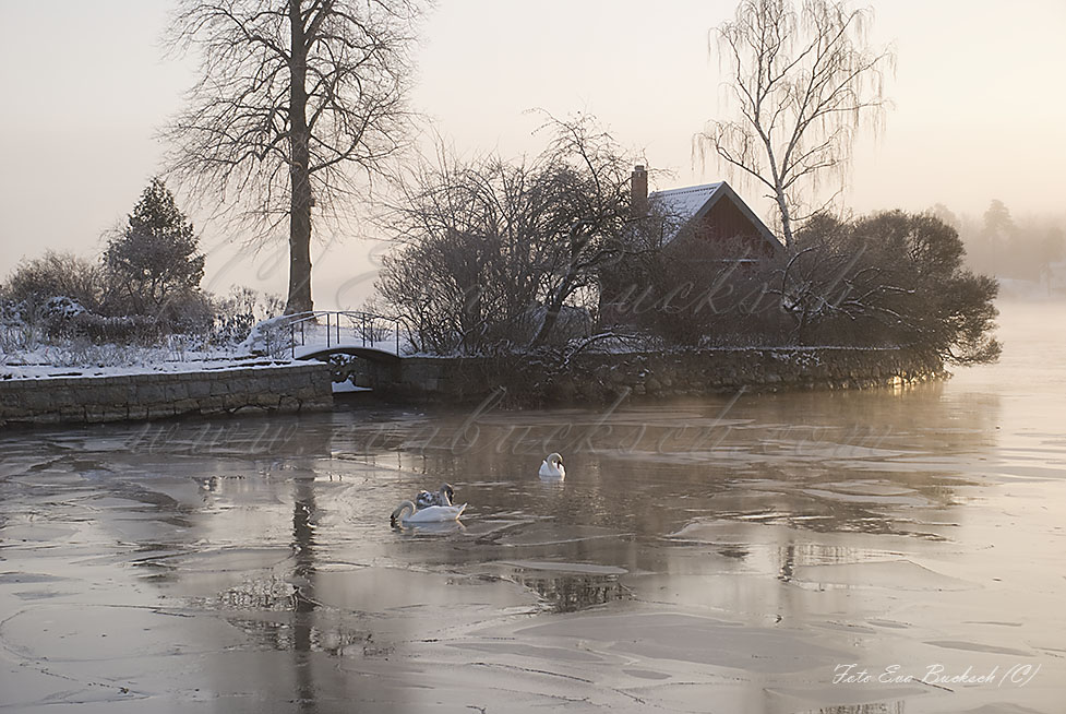 Foto av Eva Bucksch